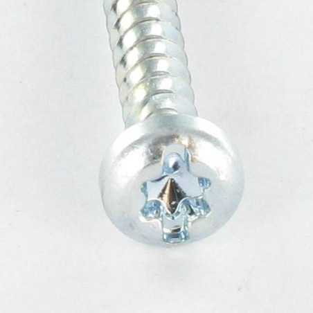 1 x Schraube PVC Zylindrischer Flachkopf T25 /SCHUTZ 5X12 Gewinde 30 Verzinkt