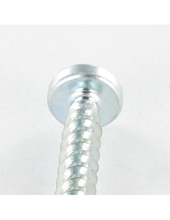 1 x Schraube PVC Zylindrischer Flachkopf T25...