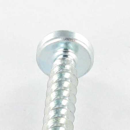 1 x Schraube PVC Zylindrischer Flachkopf T25 /SCHUTZ 5X12 Gewinde 30 Verzinkt