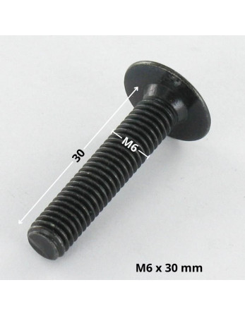 1 x Schraube Flachrundkopfschraube M6X30...