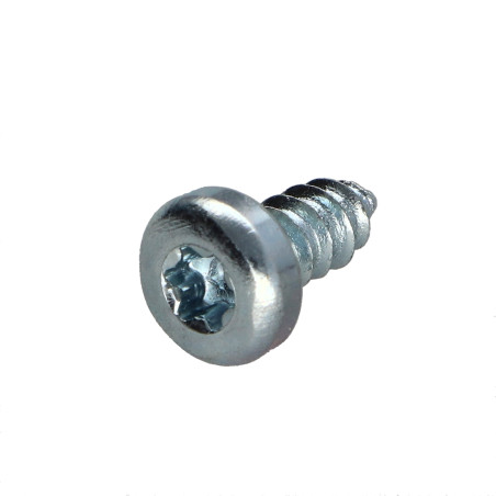 1 x Blechschraube Zylindrischer Flachkopf 3,5 x 38 T10 Dichromat
