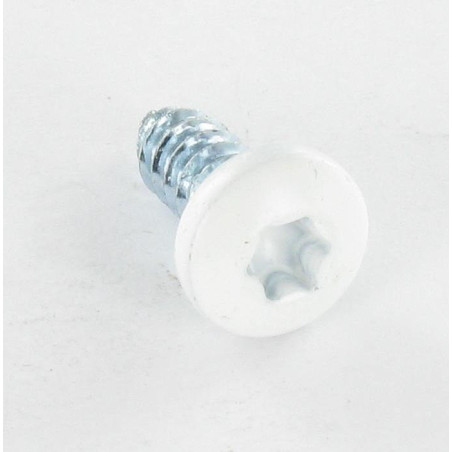 1 x Blechschraube Zylindrischer Flachkopf Gezahnt 6,3 x 16 T30 Verzinkt RAL9016 signalweiß