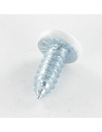 1 x Blechschraube Zylindrischer Flachkopf...