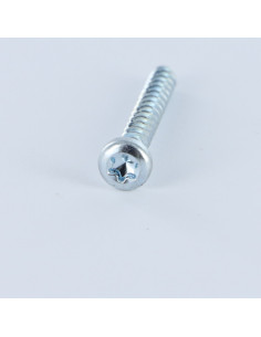Schraube für Kunststoff Zylindrischer Flachkopf T10 3x10... 2