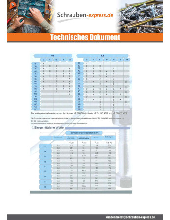 10 x Kopfschraube (mit Mutter) Sechskantkopf...