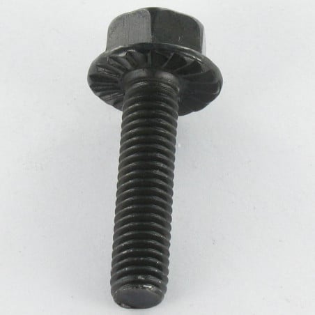 1 x Metallschrauben Sechskantkopf M6x12 Stahl schwarz verzinkt Kreuzschlitz mit gezahntem Flansch