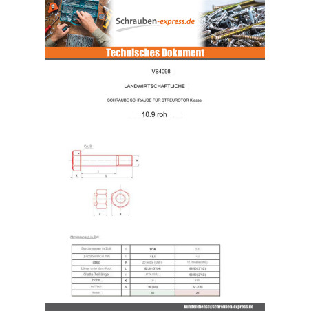 1 x Schraube ROTOR RUDDLER 9/19 x 3"1/2 Klasse 10.9 Rohstahl