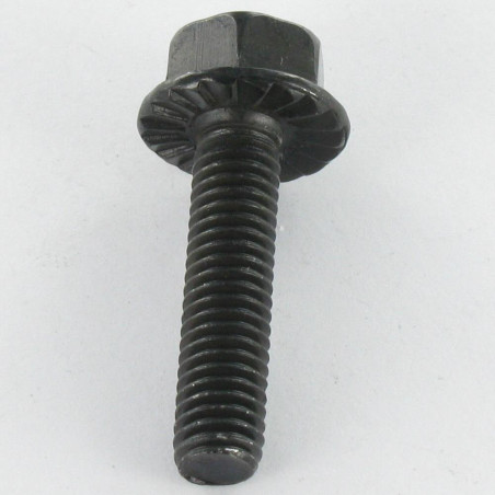 1 x Metallschrauben Sechskantkopf M6x16 Stahl schwarz verzinkt Kreuzschlitz mit gezahntem Flansch