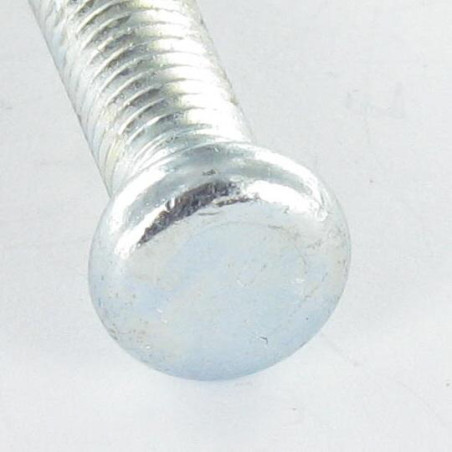 1 x Metallschrauben Zylindrischer Flachkopf Nicht gespalten M6X28 1 nase Verzinkt