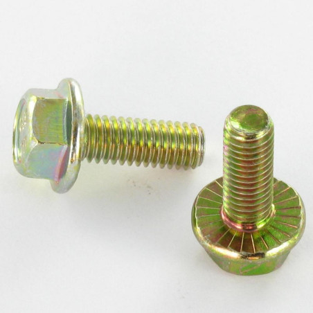 1 x Metallschrauben Sechskantkopf M6X8 Kreuzschlitz mit gezahntem Flansch Klasse 8.8 Dichromat