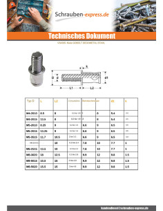 Dübel Mit Walzterminal BLENDUNG M5x15 EPP0.5-2 Rohstahl 2