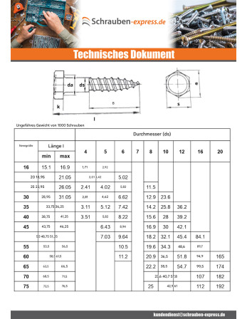 1 x Schlüsselschrauben 10x210 Dichromat