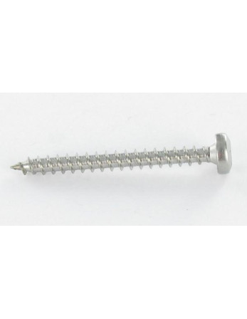 1 x Spanplattenschrauben Rundkopf 4X30 T20...