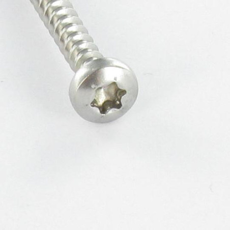 1 x Spanplattenschrauben Rundkopf 5X20 T25 Verzinkt