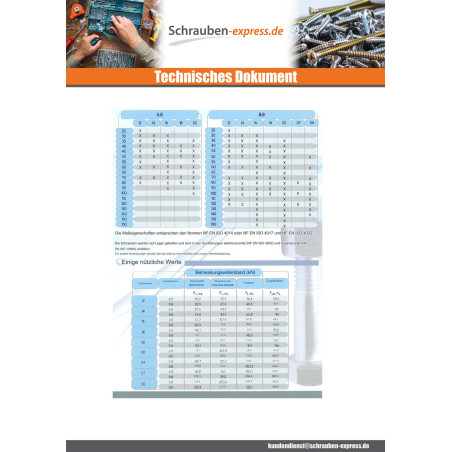 25 x Kopfschraube (mit Mutter) Sechskantkopf M22X80 Klasse 8.8 SB Verzinkt