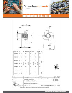 Einschlagmuttern M6 Stahl schwarz verzinkt 2
