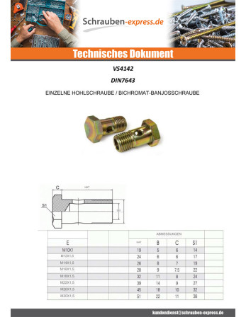 1 x Holschraube oder Banjo-Hohlschraube...