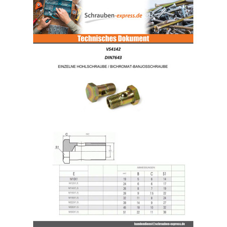 1 x Holschraube oder Banjo-Hohlschraube Sechskantkopf M10x19 Feingewinde gewinde 100 Verzinkt