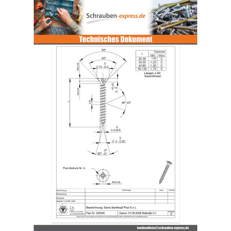 1 x Spanplattenschrauben Senkkopfschraube Pozi N°2 5X53 Gesamtgewinde Verzinkt