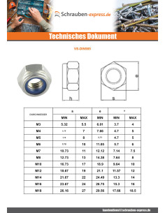 Sicherungsmutter M6 Verzinkt 2
