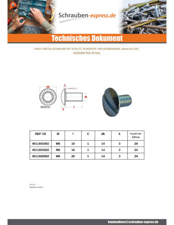 1 x Metallschrauben Flachkopf Gespalten...