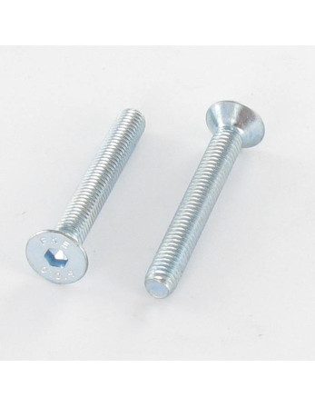 1 x Metallschrauben Innensechskant mit flachem...