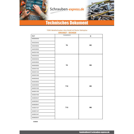 1 x Metallschrauben Stellschraube Flache Spitze T8 M4x10 Verzinkt
