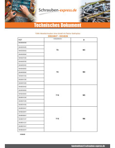 Metallschrauben Stellschraube Flache Spitze T8 M4X4 Verzinkt 2