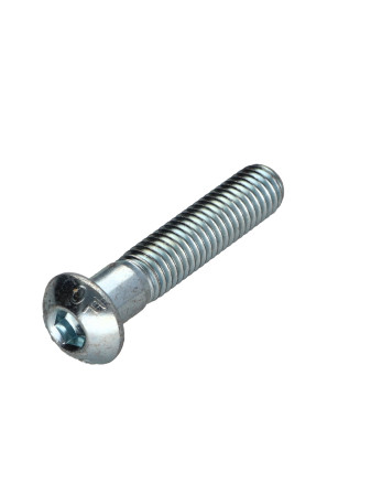 1 x Metallschrauben Flachrundschraube mit...