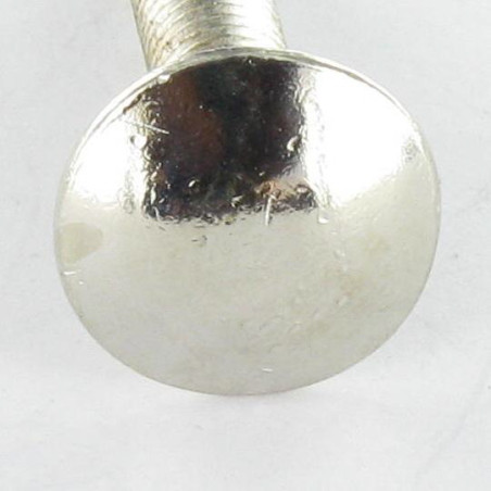 1 x Schlossschraube M5x25 Gesamtgewinde Nickelstahl