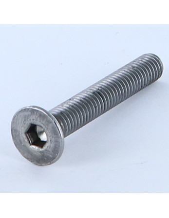 1 x Metallschrauben Innensechskant mit flachem...