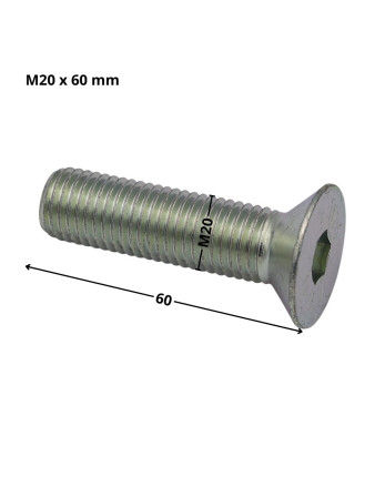 1 x Metallschrauben Innensechskant mit flachem...