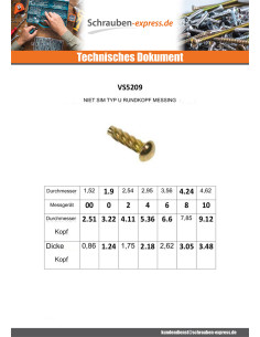 Schlagschrauben Type U Rundkopf Vermessingtem Stahl 2,54x... 2
