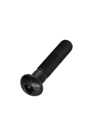 1 x Metallschrauben Flachrundschraube mit...