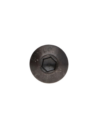 1 x Metallschrauben Flachrundschraube mit...