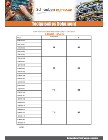 1 x Metallschrauben Stellschraube Flache Spitze...