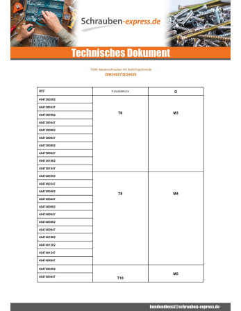 1 x Metallschrauben Stellschraube T10...
