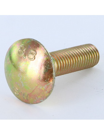 1 x Schlossschraube M10x20 Gesamtgewinde Dichromat