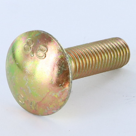 1 x Schlossschraube M10x20 Gesamtgewinde Dichromat