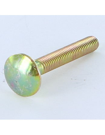 1 x Schlossschraube M5X35 Gesamtgewinde Dichromat