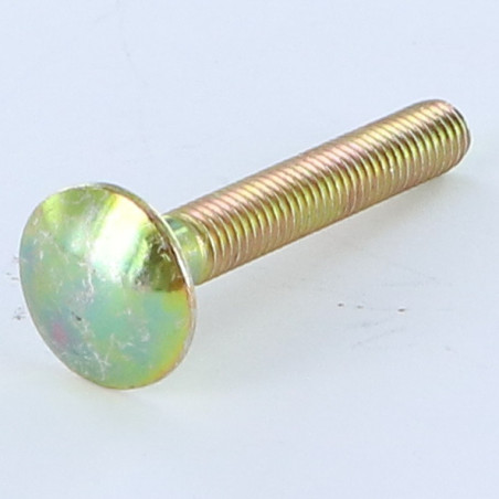 1 x Schlossschraube M5X35 Gesamtgewinde Dichromat
