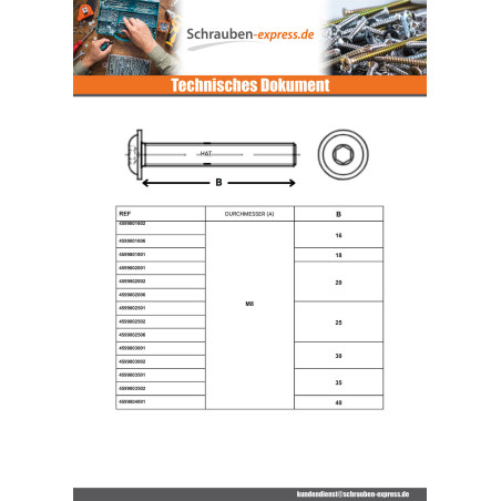 1 x Metallschrauben Flachrundschraube mit Innensechskant Kreuzschlitz mit Flansch M6x10 Schraubenschlüssel 4 Klasse 10.9