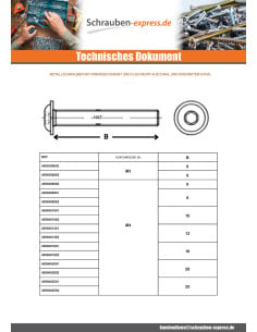 Metallschrauben Flachrundschraube mit Innensechskant... 2