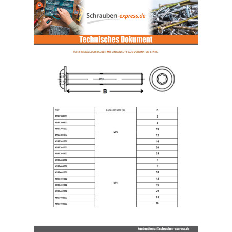 1 x Metallschrauben Flachkopf Kreuzschlitz mit Flansch T30 M6x20 Klasse 10.9 Verzinkt