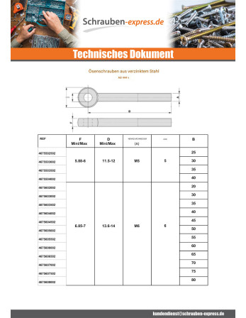 1 x Metallschrauben für Auge M6x35 Mit Gewinde...