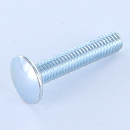 1 x Schlossschraube M6x20 Niedrig 1,5 Kopf-Durchmesser 13,5 Verzinkt