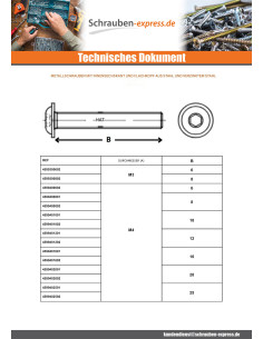 Metallschrauben Flachrundschraube mit Innensechskant... 2