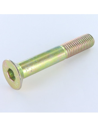 1 x Metallschrauben Innensechskant mit flachem...