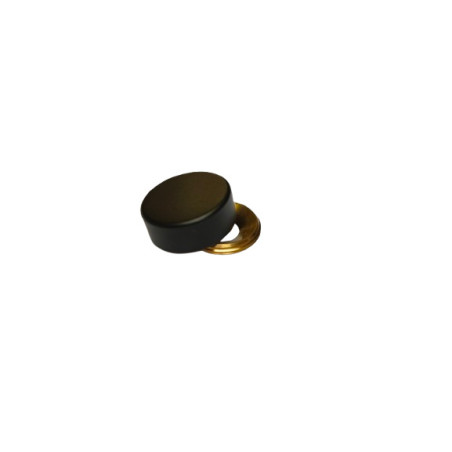 1 x Zylindrische Abdeckkappe (eine Rosette und eine Abdeckkappe) Schwarzes Messing Durchmesser 20 Schraube 5 für 6