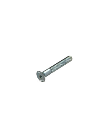 1 x Metallschrauben Innensechskant mit flachem...